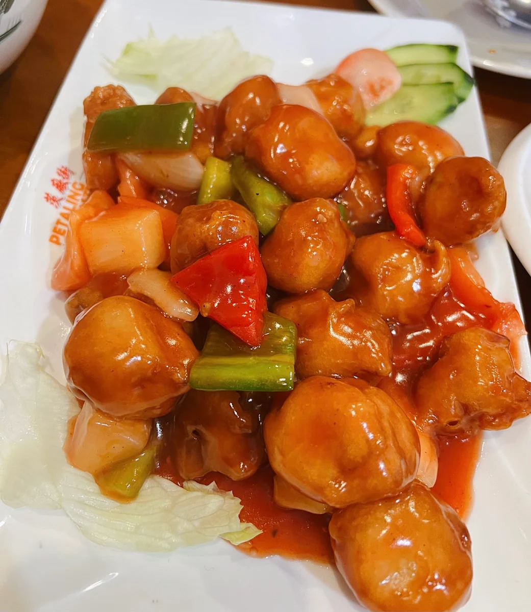Sweet and Sour Chicken 甜酸鸡
